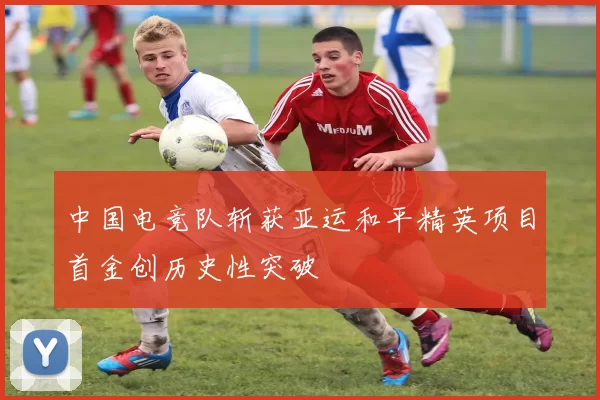 中国电竞队斩获亚运和平精英项目首金创历史性突破