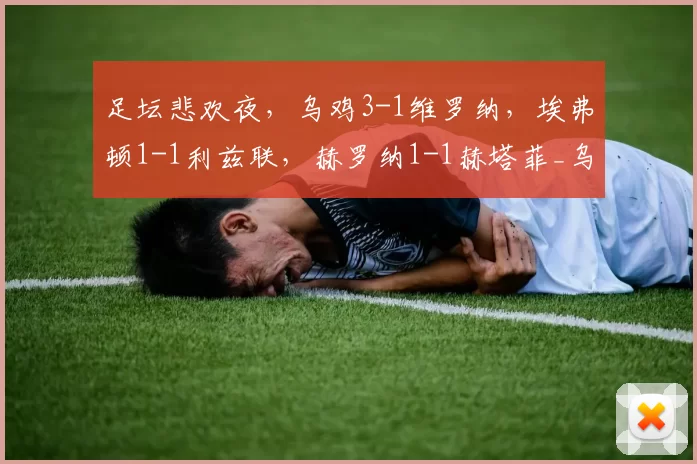 足坛悲欢夜，乌鸡3-1维罗纳，埃弗顿1-1利兹联，赫罗纳1-1赫塔菲_乌迪内斯_中游球队_伤病