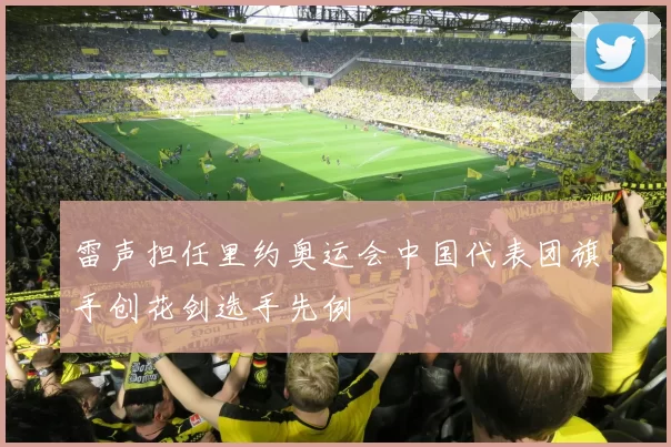 雷声担任里约奥运会中国代表团旗手创花剑选手先例