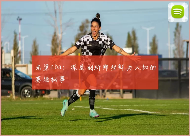 老梁nba：深度剖析那些鲜为人知的赛场秘事