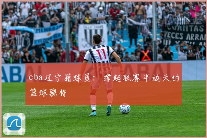 cba辽宁籍球员：撑起联赛半边天的篮球骁将